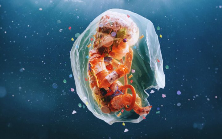 Як пластик впливає на нас ще до народження, і що з цим робити