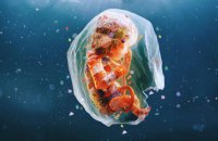 Як пластик впливає на нас ще до народження, і що з цим робити