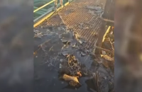 Росія вчергове завдала удару по цивільному судну – БПЛА вдарив по турецькому кораблю VIVA