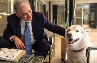 Собака прем'єр-міністра Ізраїлю покусала можновладних гостей