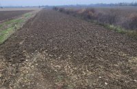 На Закарпатті судитимуть посадовиць Нацакадемії за махінації з зерном на 1,9 млн грн