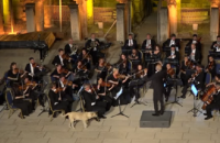 У Туреччині під час виступу Віденського оркестру на сцену вийшла собака