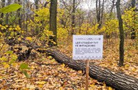 В Києві залишатимуть фрагменти мертвої деревини для підтримки біорізноманіття в зелених зонах