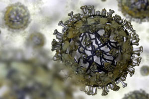 Новый вид гриппа придет в Украину в ноябре 