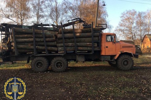 На Харьковщине работников лесничества заподозрили в незаконной вырубке 18 тыс. деревьев 