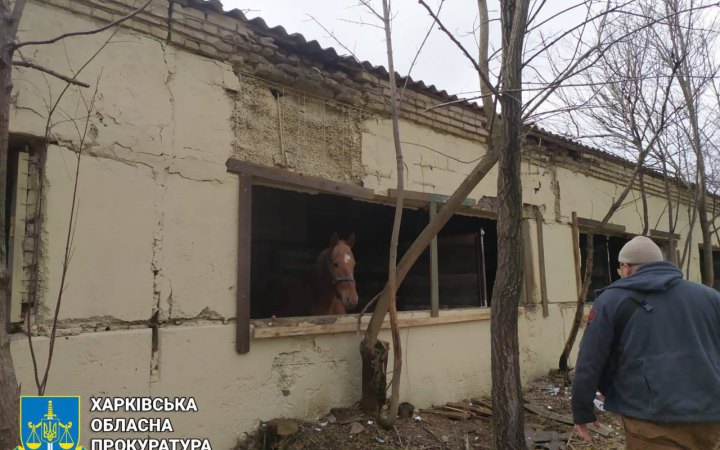 На Харківщині росіяни атакували дроном притулок з тваринами