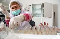 ​На Луганщине могут открыть поликлинику специально для лечения иностранцев от малярии