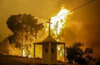 У Португалії під час лісової пожежі загинули понад 60 осіб (оновлено)