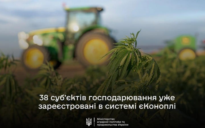 У системі "єКоноплі" зареєструвалося 38 підприємств для вирощування коноплі на 3,2 тис. га