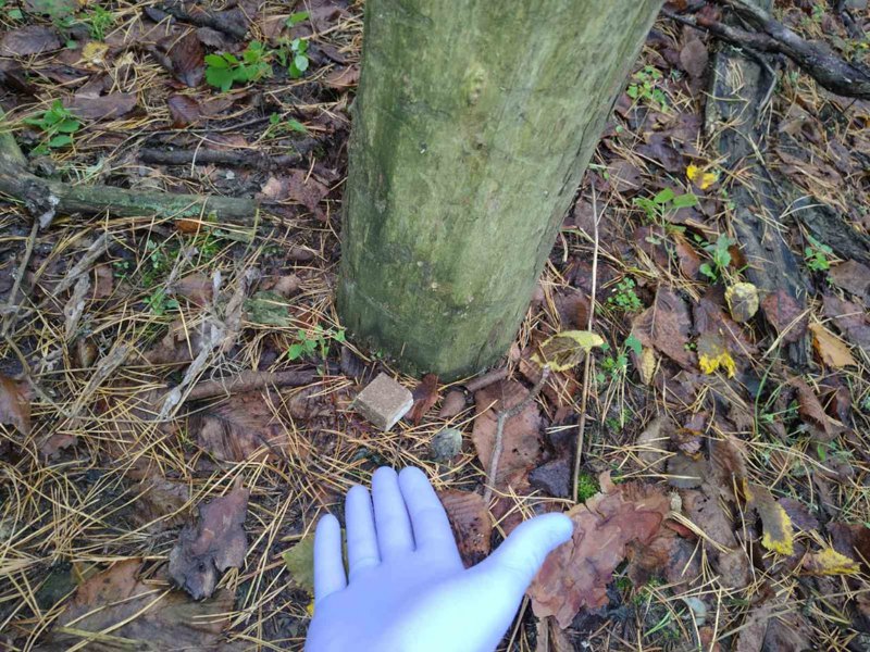 Брикет з вакциною