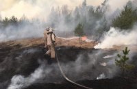 В Житомирской область девятый день не могут погасить лесной пожар, вызванный поджогом сухой травы