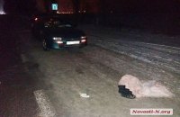 Под Николаевом пьяная 13-летняя девочка угодила под автомобиль, возвращаясь с дискотеки