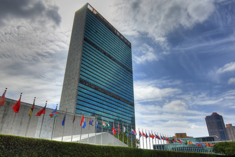 ООН визнала чисту екологію невід’ємним правом людини