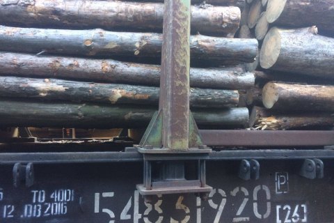 Рада криминализировала контрабанду леса без моратория на экспорт дров