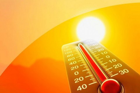 Из-за аномальной жары в Канаде погибли более 100 человек 