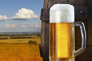 Пивовари і кондитери обурилися законом про мови