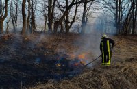 На Львівщині минулої доби вогонь знищив понад 2700 кв м сухостою – виникло 7 пожеж на відкритих територіях