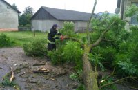 ​В Житомирской области из-за сильного ветра повреждены крыши более 40 домов