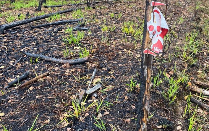 На Харківщині чоловік підірвався на вибухівці