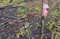 На Харківщині чоловік підірвався на вибухівці