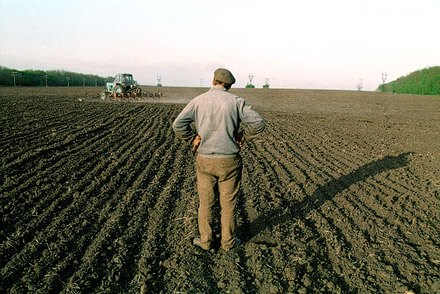 В Украине уже международные агрокомпании обосновались прочно, несмотря на запрет на продажу сельхозземли. Селяне просто отдают ее
в аренду