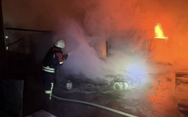 Дунайський біосферний заповідник загорівся внаслідок російського обстрілу