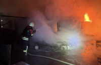 Дунайський біосферний заповідник загорівся внаслідок російського обстрілу