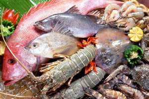 Санаторий Минобороны закупит морские деликатесы 