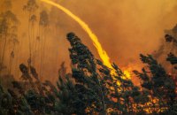Причиной лесных пожаров в Португалии мог стать поджог