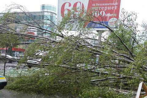 В Днепропетровской области женщину убило деревом в результате непогоды