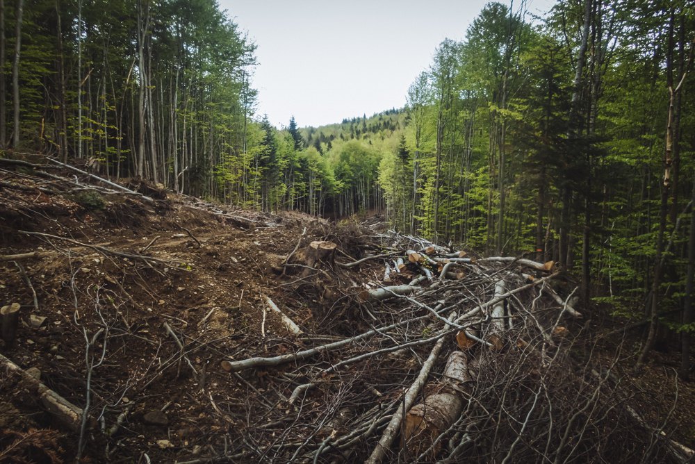 Будівництво дороги з боку Жденієвської громади.
