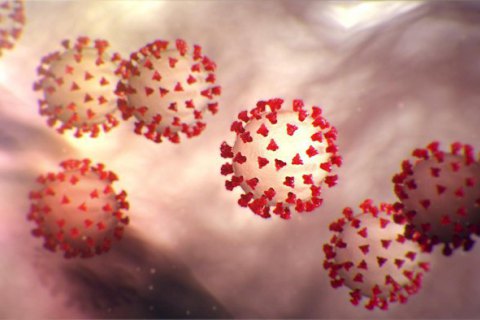 Учені припустили, що коронавірус може передаватися через дихання