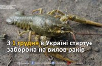 З 1 грудня в Україні стартує заборона на вилов раків