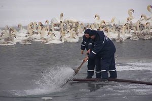 В Хмельницкой области МЧСники сняли со льдины 17 рыбаков