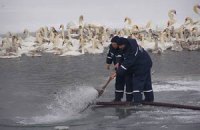 В Хмельницкой области МЧСники сняли со льдины 17 рыбаков