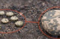 У Херсоні виявили російські міни “плюшки” 