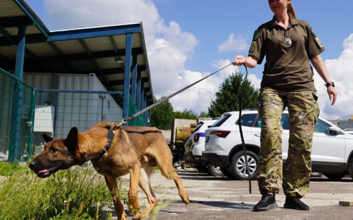 Нацпол отримав із Європи майже чверть сотні службових собак