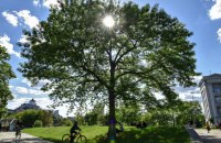 У Києві 24 квітня зафіксували температурний рекорд, який перевищив показник 1950 року