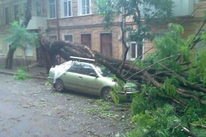 Синоптики пообіцяли завтра сильний вітер, зливи та пожежі