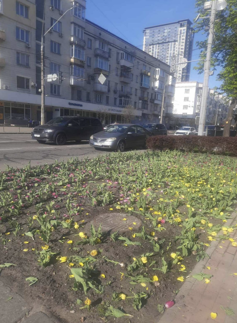 Знищені клумби в Києві 