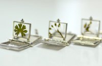 Проєкт "Квіти з передової": як гербарії розповідають про війну в Україні світу