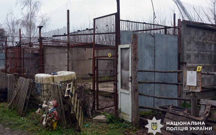 Поліцейські оголосили підозру керівнику зоокуточка, з якого втекли дві левиці