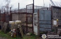 Поліцейські оголосили підозру керівнику зоокуточка, з якого втекли дві левиці