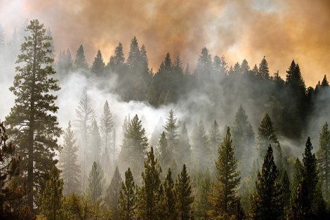 У Канаді через лісові пожежі евакуюють 80-тисячне місто