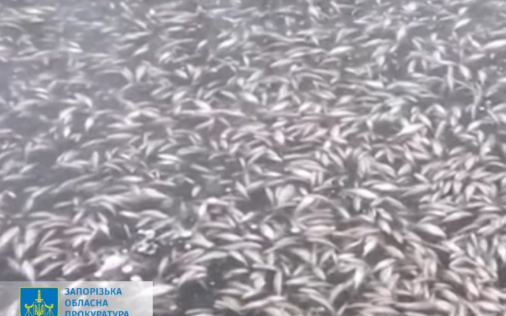 Російські обстріли Каховської ГЕС призвели до масової загибелі риби