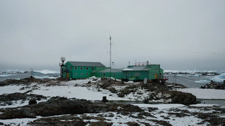 Кадр з фільму «Антарктида». 