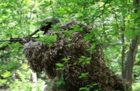 На фронті відбулося 91 боєзіткнення, - Генштаб