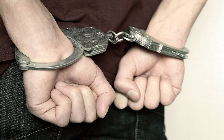 В Естонії росіянину дали 15 років тюрми за шпигунство та підпал авто на українських номерах