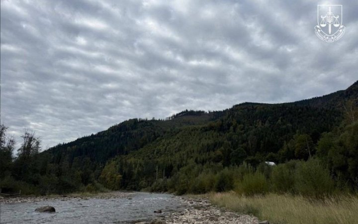 На Прикарпатті викрили схему розкрадання лісу біля “Буковелю” на 14 млн грн.