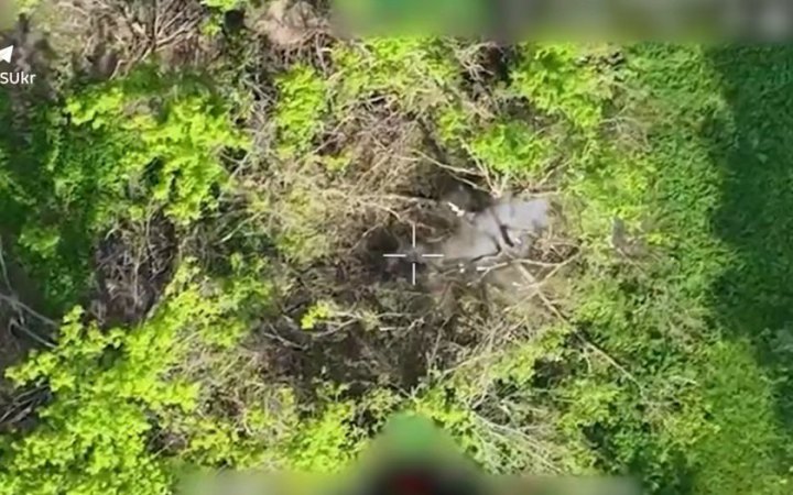 Українські прикордонники знищили польвоий склад з БК та ворожу техніку